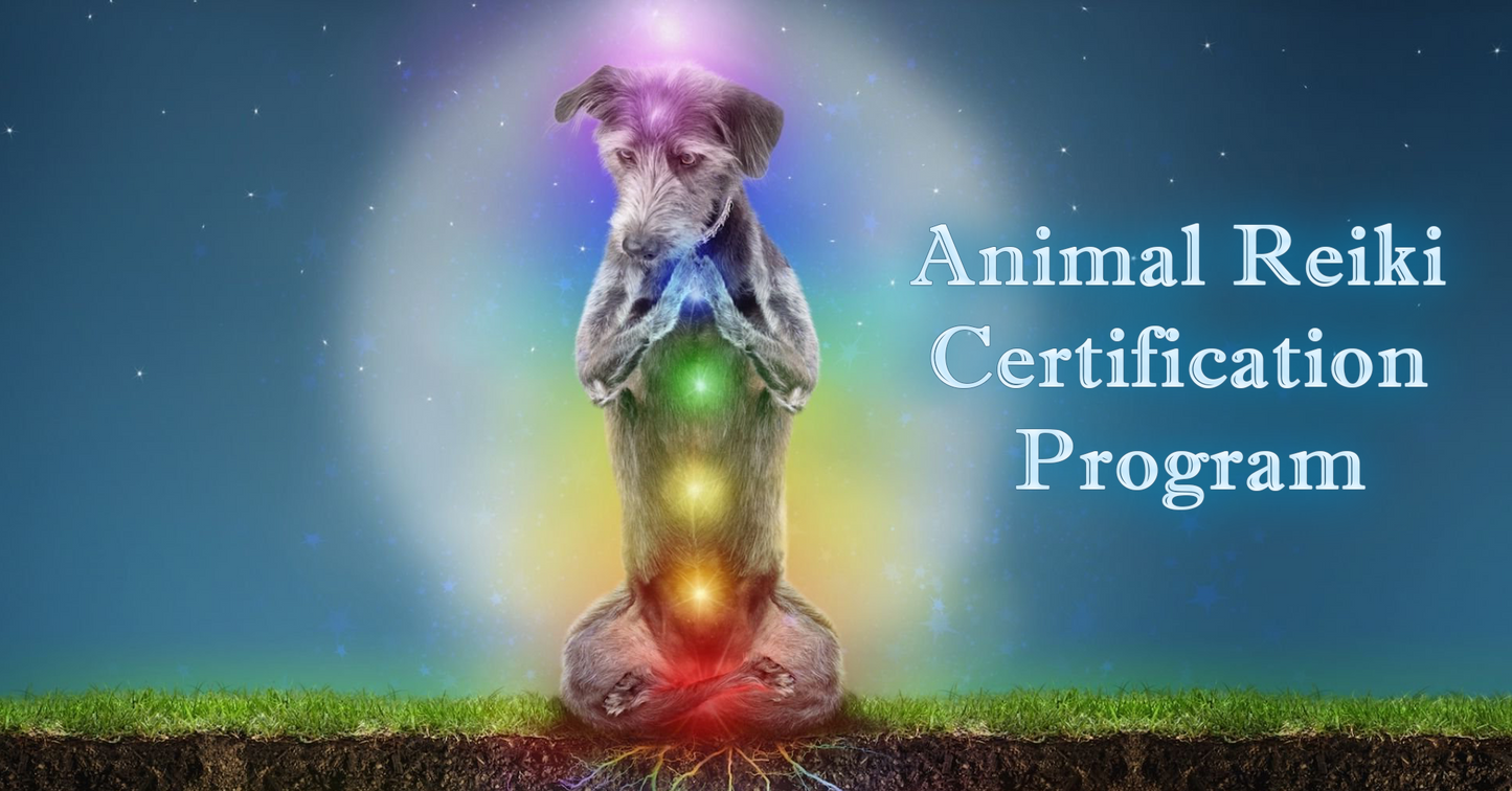 Animal Reiki Certification Program