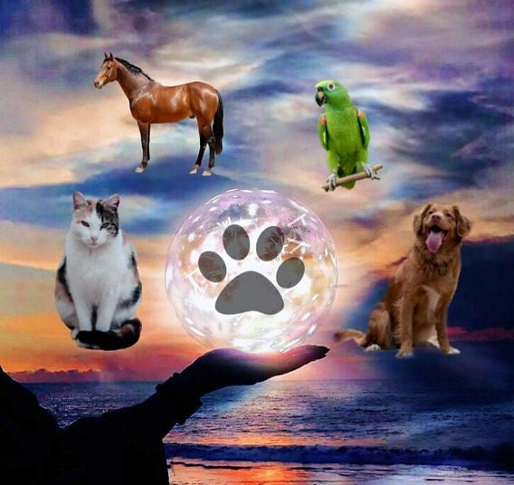 ANIMAL AND PET PARENT REIKI