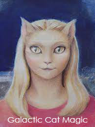 Intergalactic Cat Magic Program