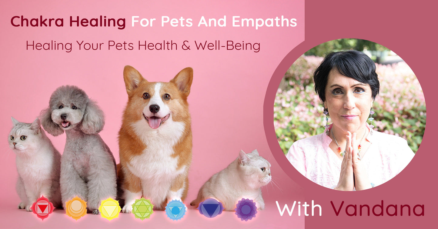 CHAKRA HEALING FOR PETS & EMPATHS