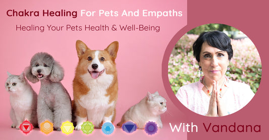 Chakra Healing For Pets And Empaths