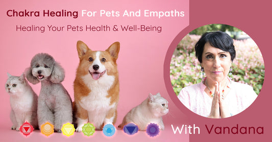 CHAKRA HEALING FOR PETS & EMPATHS