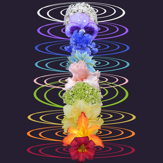 7 Chakras 7 Meditations 7 Days a Week MP3 Package