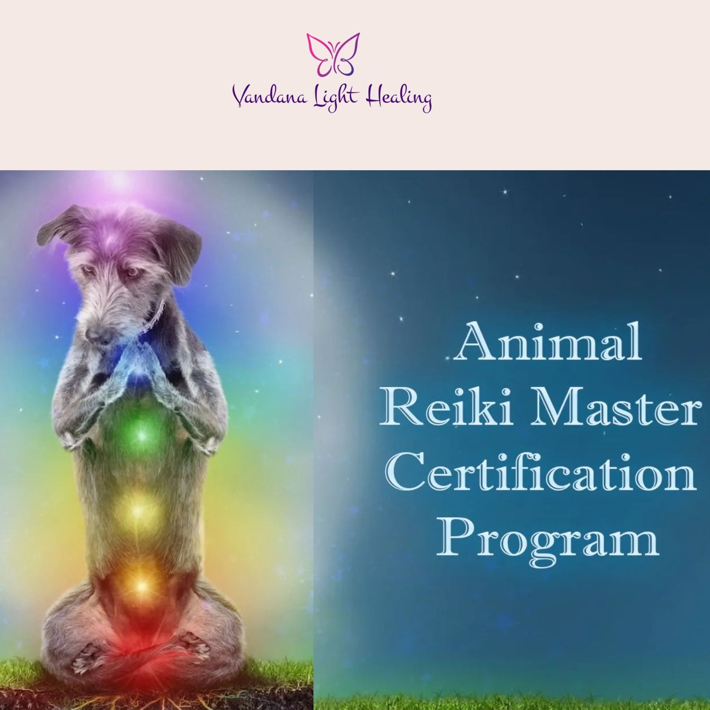 Animal Reiki Master Program