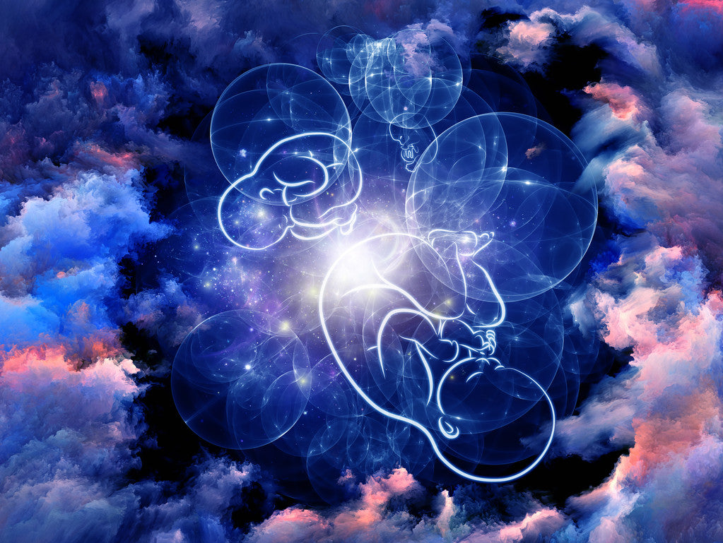 Cosmic Womb Rebirthing Bundle
