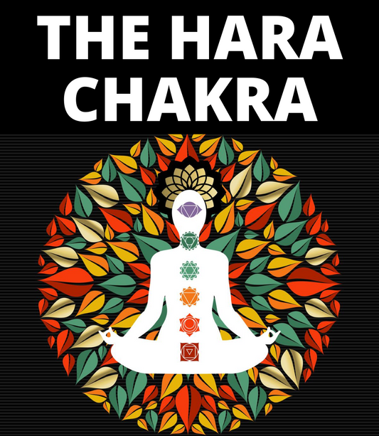Hara Chakra Aura Alignment Program