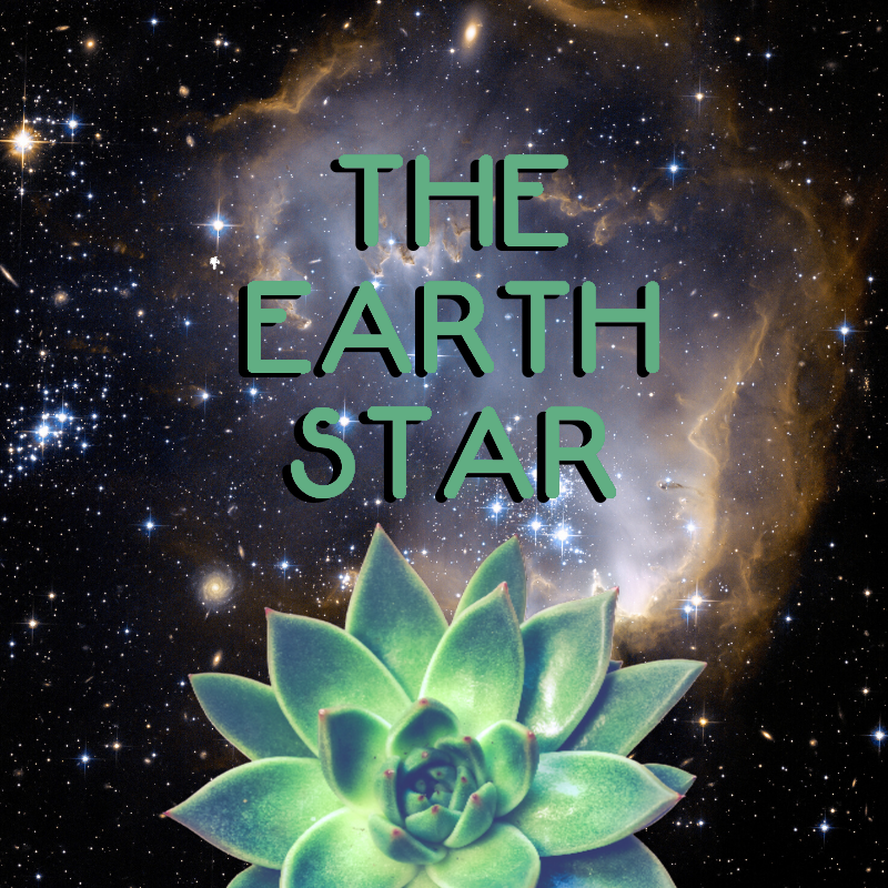 Earth Star Activation Program